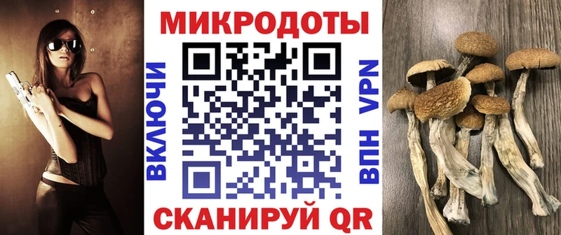 MEGA   Белебей  Галлюциногенные грибы мицелий 